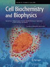 CELL BIOCHEMISTRY AND BIOPHYSICS雜志封面